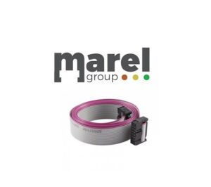 Cavo flat con connettore 10 poli
Lunghezza: 150 cm