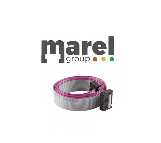 CAVO FLAT MICRONOVA 16 POLI 100CM