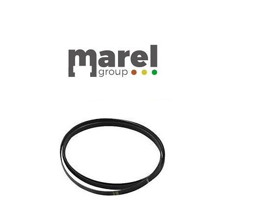 CINGHIA ELASTICA PVEL 1213H8 PER LAVATRICE ARISTON INDESIT C00083910