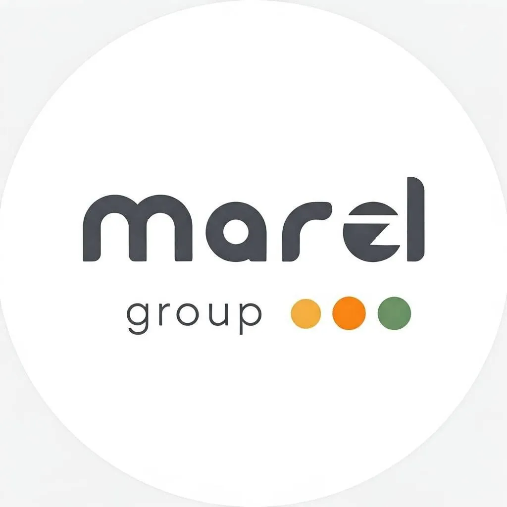Marel Group Ricambi